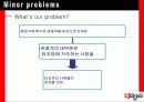 국제마케팅-Midget 17페이지