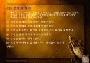 노인학대 12페이지