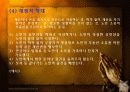 노인학대 13페이지