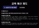 한국 교육재정과 예산의 기본 개념 & 문제점 24페이지