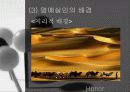 아랍과명예살인 5페이지