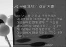 아랍과명예살인 7페이지