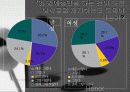 아랍과명예살인 12페이지