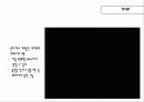 혼다이즘. 그 끝없는 노력 29페이지