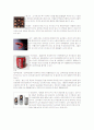 일상속의 우리가 환경에 미치는 영향- 생활속의 환경오염 35페이지