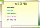 KBS와 MBC 비교, 그리고  KBS의 공영방송으로써의 역할 10페이지
