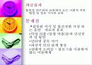 의사소통콘텐츠론 31페이지