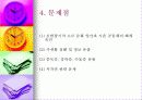 의사소통콘텐츠론 41페이지