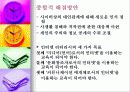 의사소통콘텐츠론 42페이지