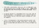 전자팔찌제도 논란 8페이지