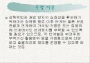 전자팔찌제도 논란 11페이지