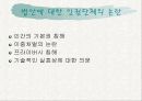 전자팔찌제도 논란 13페이지