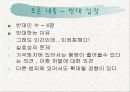 전자팔찌제도 논란 15페이지