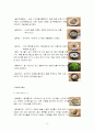 굴요리 전문점  마케팅 전략 10페이지