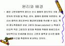 점도에 의한 PS의 분자량 측정 4페이지