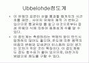 점도에 의한 PS의 분자량 측정 10페이지