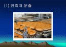 크리스피크림도넛츠의 위생상태 13페이지