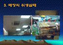 크리스피크림도넛츠의 위생상태 19페이지
