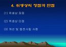 크리스피크림도넛츠의 위생상태 20페이지