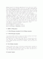 [전자상거래][EC]전자상거래(EC) 특징, 동향과 역기능 및 전자상거래(EC) 성공조건(전자상거래(EC)시장 특징, 전자상거래(EC) 동향, 전자상거래(EC) 역기능과 법적대응, 전자상거래(EC) 사업 성공요건) 5페이지