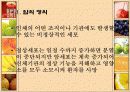 식사와 암 3페이지