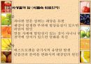 식사와 암 7페이지
