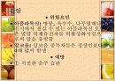 식사와 암 20페이지