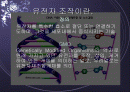 유전자 조작! 구원인가 재앙인가?! 2페이지