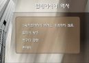 말레이시아 지역 연구 12페이지