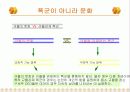 기업 경영전략 (책 : `좋은 기업에서 위대한 기업으로`) 21페이지