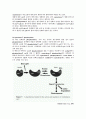 cryptochrome & phototropin 4페이지