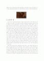 노인의 각종 문제 및 대안 연구(여가, 연애, 성, 경제력) 4페이지