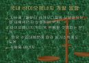 바이오매스 에너지 7페이지