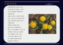 민중가요에 대하여 18페이지