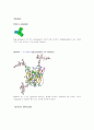 생물정보학과 관계된 proteomics 5페이지