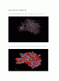 생물정보학과 관계된 proteomics 11페이지