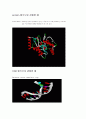 생물정보학과 관계된 proteomics 12페이지