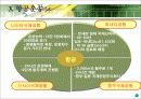 일본의 운송체계 12페이지