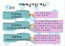 집단사회사업실천의 모델 12페이지
