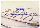 집단사회사업실천의 모델 18페이지