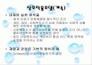 집단사회사업실천의 모델 29페이지