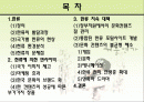 한류열풍을 이용한 문화산업의 경쟁력 제고 방안 2페이지