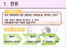 한류열풍을 이용한 문화산업의 경쟁력 제고 방안 3페이지