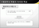 해외투자위험 2페이지