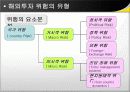 해외투자위험 6페이지