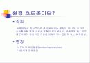 환경호르몬 3페이지