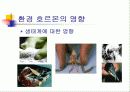 환경호르몬 7페이지