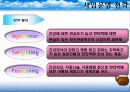 한방관광 상품 및 활성화 방안 13페이지