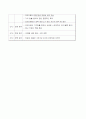 명품핸드폰의 블루오션 창출 16페이지