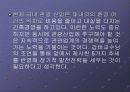 관광학 개론(attractions, entertainment, recreation, and other ) 22페이지
